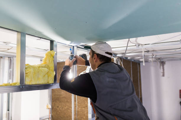 Best Specialized Insulation Services in Pierceton, IN